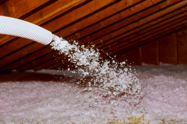 Types of Insulation We Offer in Princeville, HI