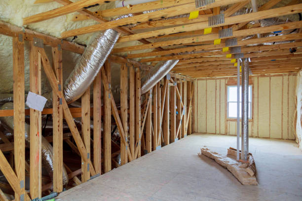 Best Eco-Friendly Insulation in Princeville, HI