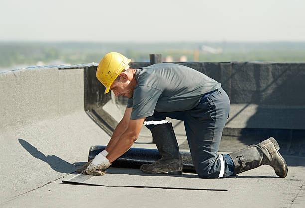 Best Commercial Insulation in Princeville, HI