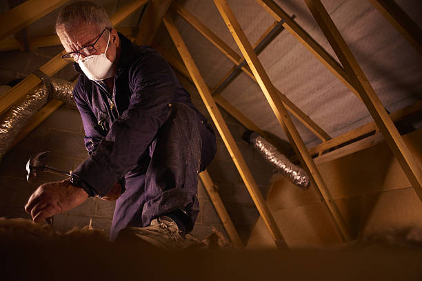 Best Insulation Maintenance and Repair in Princeville, HI