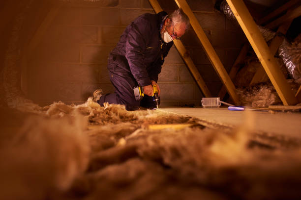 Best Spray Foam Insulation in Princeville, HI